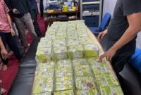 Tim Gabungan Gagalkan Penyelundupan 86 Kg Sabu, Sita Dua Senpi Laras Panjang
