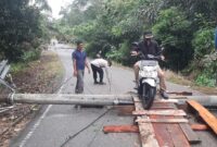 Pohon Durian Tumbang Timpa Tiang PLN