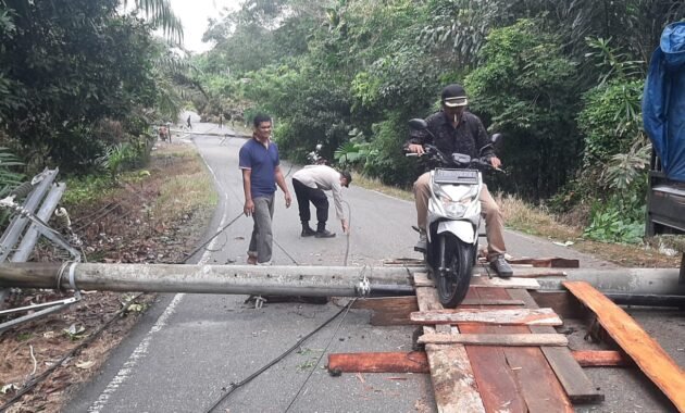Pohon Durian Tumbang Timpa Tiang PLN