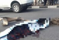 Kecelakaan Di Lamgugob, Seorang Pemuda Tewas