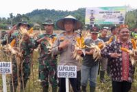 Kapolres Bireuen Hadiri Kegiatan Panen Perdana Jagung Program I’M JAGONG