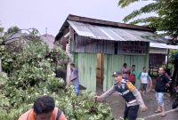 Personel Polres Pidie Jaya Bersihkan Pohon Tumbang di Badan Jalan