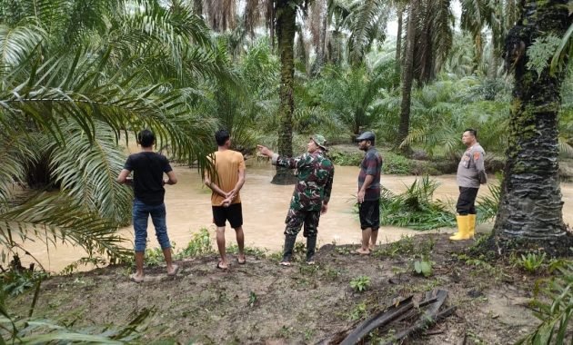 Tenggelam di Alur Kebun Sawit, Bocah Delapan Tahun Meninggal Dunia