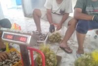 Kerang Aceh Masuk Pasar Ekspor Perdana ke Vietnam