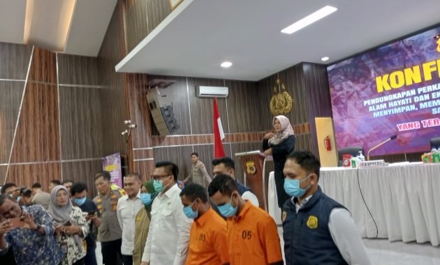 Polda Aceh Ungkap Sindikat Perdagangan Harimau Sumatra, Tersangka Oknum PNS