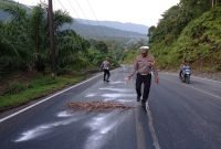 Polisi akan Tindak Truk Tangki Penyebab Tumpahan CPO di Jalan