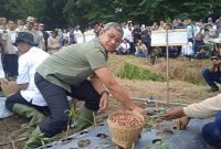 Peluncuran Food Estate Mini, Pj Bupati Deli Serdang Dampingi Wamentan Demi Tercapainya Ketahanan Pangan