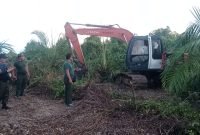 Dinas Kehutanan Sumatera Utara Tangkap 1 Unit Alat Berat Rambah Hutan Mangrove, Begini Kata Zainuddin Lingkungan Hidup?