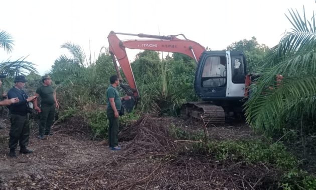 Dinas Kehutanan Sumatera Utara Tangkap 1 Unit Alat Berat Rambah Hutan Mangrove, Begini Kata Zainuddin Lingkungan Hidup?