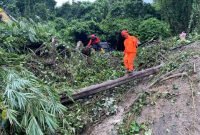 Evakuasi Bus Pariwisata Tertimbun Longsor di Sibolangit Tim Basarnas “Nama Nama Korban Update”