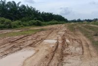 Warga Aceh Tamiang Yakin Armia Fahmi-Ismail Mampu Lanjutkan Pembangunan Jalan Elak