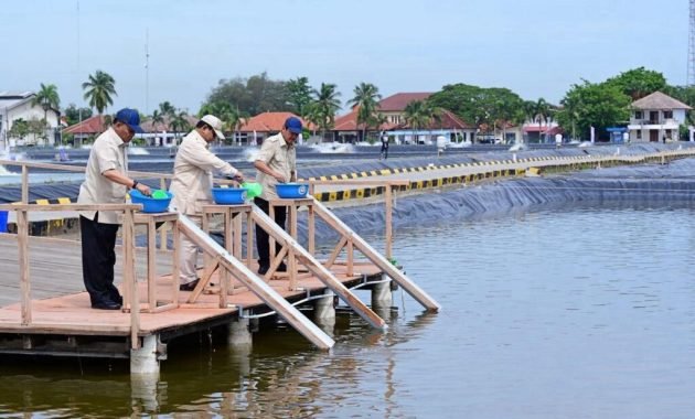 Presiden Prabowo Tinjau BLUPPB Karawang, Dorong Swasembada Pangan dan Ekonomi Biru