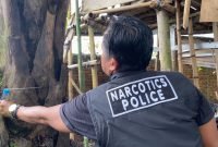 Satresnarkoba Polrestabes Medan: Ratakan Barak Narkoba Sei Mencirim
