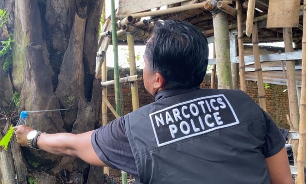 Satresnarkoba Polrestabes Medan: Ratakan Barak Narkoba Sei Mencirim