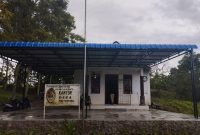 Program Pengadaan Bibit Ketapang di Desa Parsaoran Sibisa Diduga Fiktif