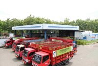 Pertamina Patra Niaga: Pendaftar LPG subsidi 3 kg capai 57 juta NIK