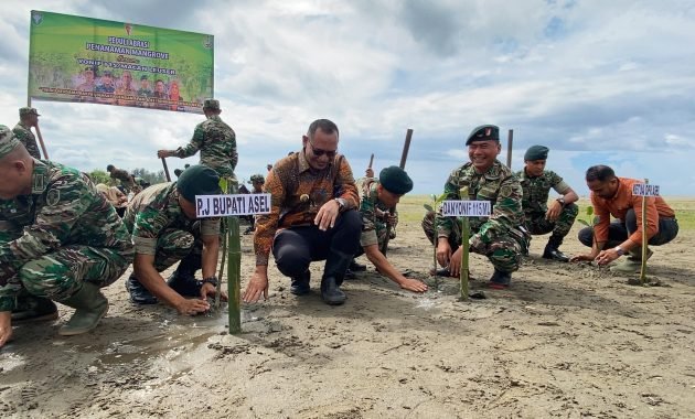 Yonif 115/ML Tanam 3.000 Mangrove di Aceh Selatan sebagai Kado Akhir Tahun