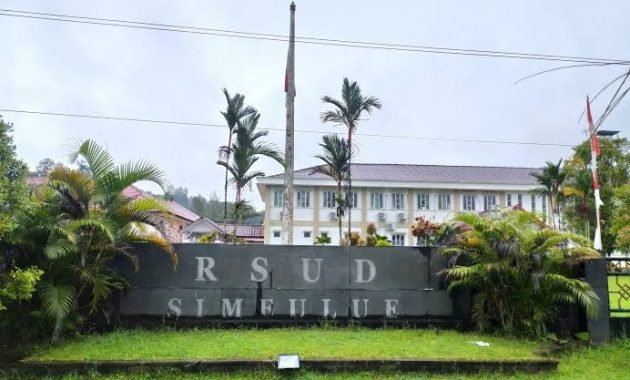 Freezer Pendingin Mayat Dikabupaten Simeulue Telah Tersedia, Begini Respon PLT Direktur RSUD Simeulue