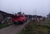 DLHK Tangani Kasus Illegal Logging di Barisan Nauli, Sumbul Dairi