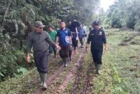 Bocorkan Padi Petani Dihargai Tinggi Oleh Pabrik, Ketua DPRK Simeulue Berikan Kiat Penting