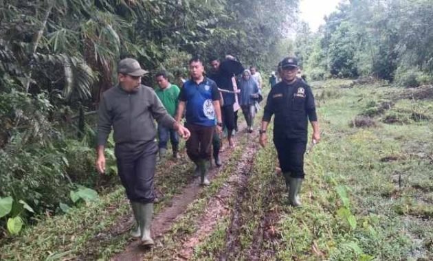 Bocorkan Padi Petani Dihargai Tinggi Oleh Pabrik, Ketua DPRK Simeulue Berikan Kiat Penting