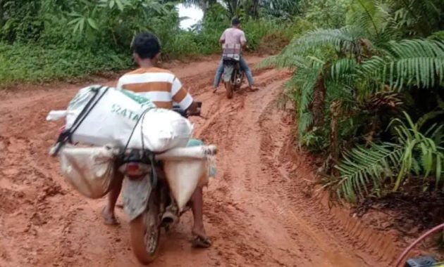 Viral! Dari Kecil hingga Punya Anak Kecil, Warga Aek Nabara Belum Rasakan Pembangunan Jalan