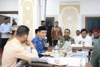 Wagub Fadhlullah Minta DPD RI Perjuangkan Dana Otsus Aceh