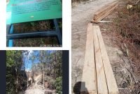 Gawat!Mafia Ilegal Logging Bebas di Wilkum Polres Dairi, Ada Apa?