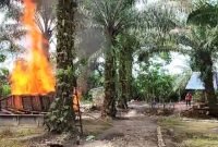 TNI Gerebek Sarang Judi di Deli Serdang, Lapak Dibakar di Tempat