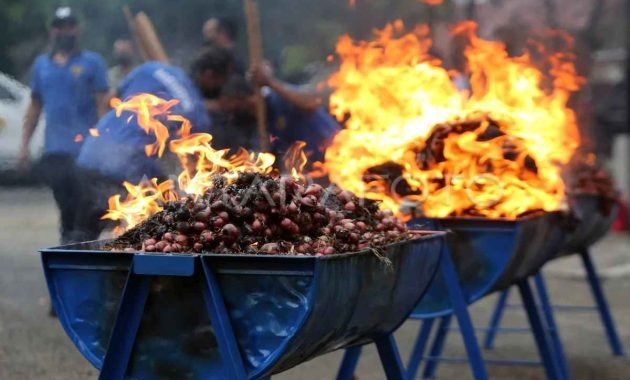 Mengandung Virus,  45 Ton Bawang Merah dan Pakaian Bekas Illegal Dimusnahkan di Banda Aceh