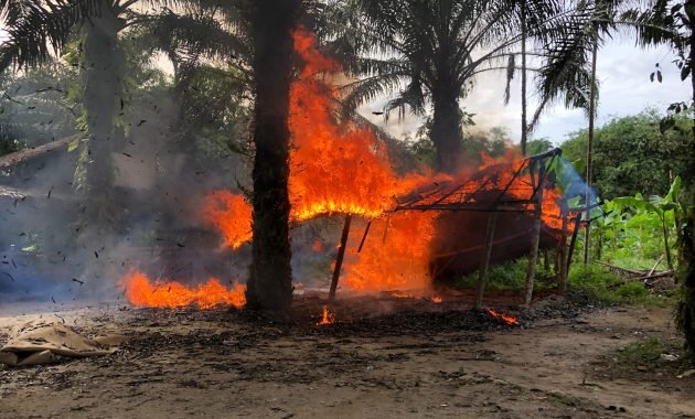 Grebek Arena Sabung Ayam, Kasat Reskrim Polrestabes Medan Pimpin Langsung Operasi