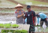 Kapolda Lampung Hadiri Gerak Tanam Raya Padi Serentak, Dukung Ketahanan Pangan Nasional