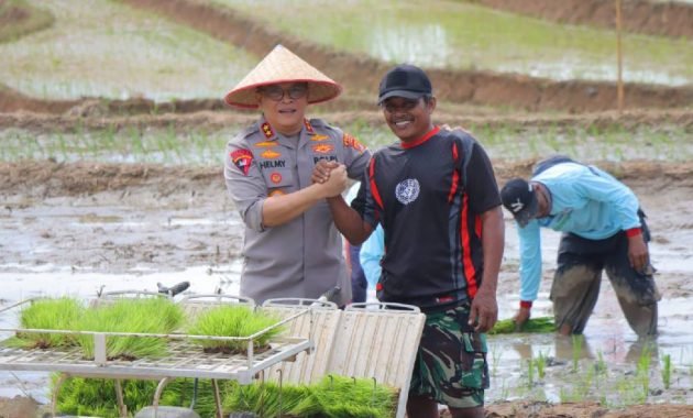 Kapolda Lampung Hadiri Gerak Tanam Raya Padi Serentak, Dukung Ketahanan Pangan Nasional