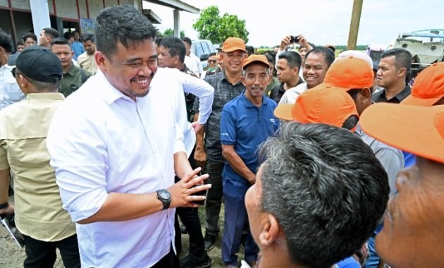 Wujudkan Tanam Padi Tiga Kali Setahun, Gubernur Bobby Nasution Minta Bantuan ke Presiden untuk Perbaikan Tanggul