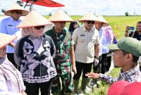 Pemkab Lampung Selatan Ikuti Panen Raya Serentak di 14 Provinsi Bersama Presiden Prabowo