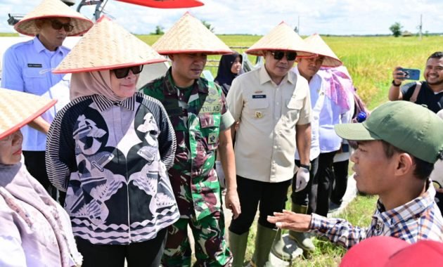 Pemkab Lampung Selatan Ikuti Panen Raya Serentak di 14 Provinsi Bersama Presiden Prabowo