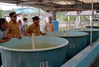 Wakil Bupati Simeulue Tinjau BBIP, Pastikan Ketersediaan Benih Ikan Laut
