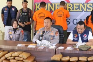 Polres Gayo Lues Berhasil Ungkap 12 Kasus Narkotika