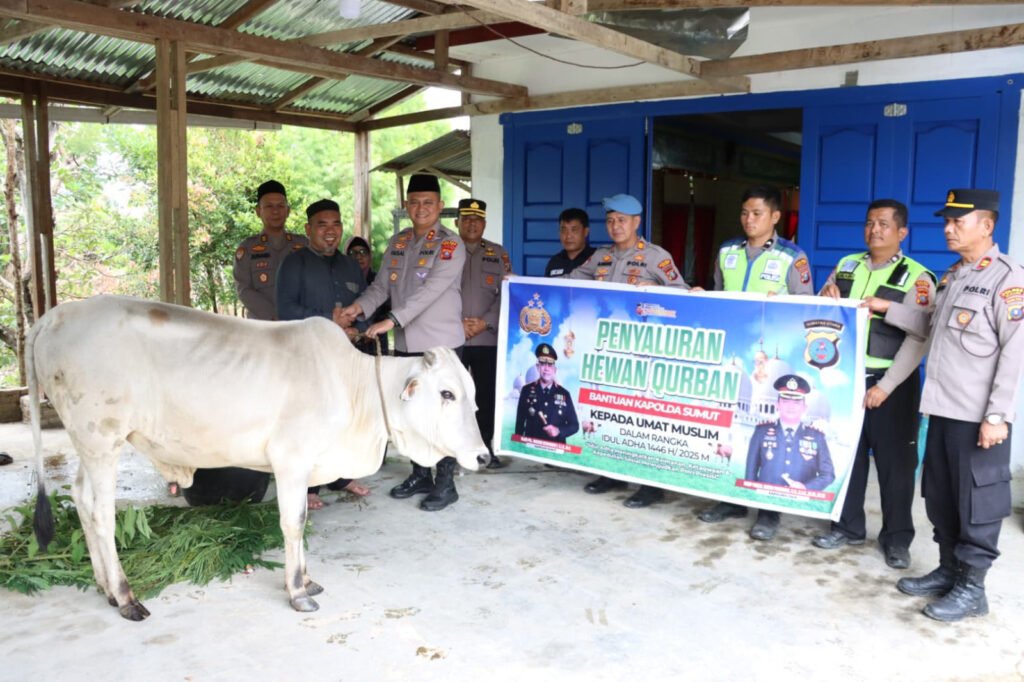 Kapolda Sumut Serahkan 1 Ekor Sapi Kepada Yayasan Pendidikan Islam Dan Rumah Qur’an di Dairi