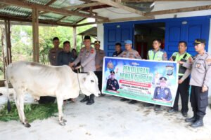 Kapolda Sumut Serahkan 1 Ekor Sapi Kepada Yayasan Pendidikan Islam Dan Rumah Qur’an di Dairi