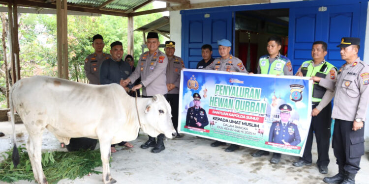 Kapolda Sumut Serahkan 1 Ekor Sapi Kepada Yayasan Pendidikan Islam Dan Rumah Qur’an di Dairi