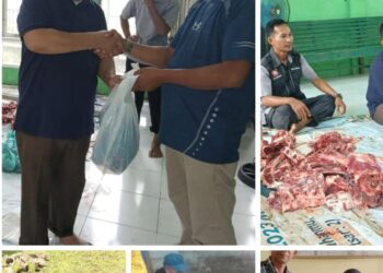 Hewan Kurban Dari Bupati Dan Wakil Bupati Simeulue Untuk Masyarakat Kecamatan Teupah Tengah