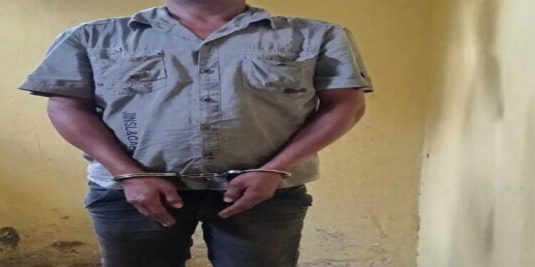 Gerak Cepat Polres Dairi Tangkap Pelaku Penikaman di Warung Tuak