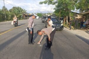 Polisi Berhasil Tangkap Pelaku Tabrak Lari Maut di Bireuen
