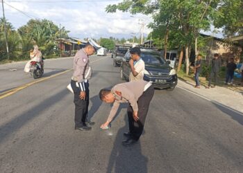 Polisi Berhasil Tangkap Pelaku Tabrak Lari Maut di Bireuen