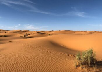 Nekat Masuk Makkah Tanpa Visa Haji Resmi, Tiga WNI Terjebak di Gurun Satu Meninggal