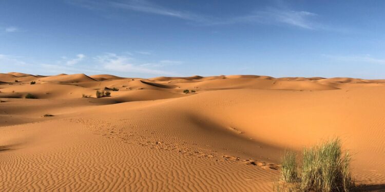 Nekat Masuk Makkah Tanpa Visa Haji Resmi, Tiga WNI Terjebak di Gurun Satu Meninggal