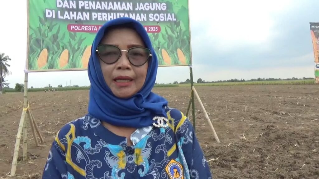 Kelompok Tani Mekar Sari Sukses Tanam Jagung Serentak Bareng Forkopimda Deli Serdang