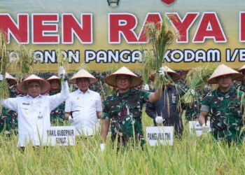 Panglima TNI Panen Raya Padi Seluas 80 Hektar, Dukung Program Ketahanan Pangan Nasional