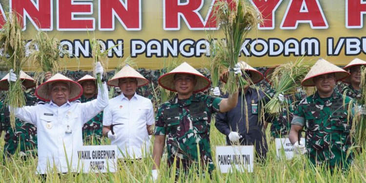 Panglima TNI Panen Raya Padi Seluas 80 Hektar, Dukung Program Ketahanan Pangan Nasional